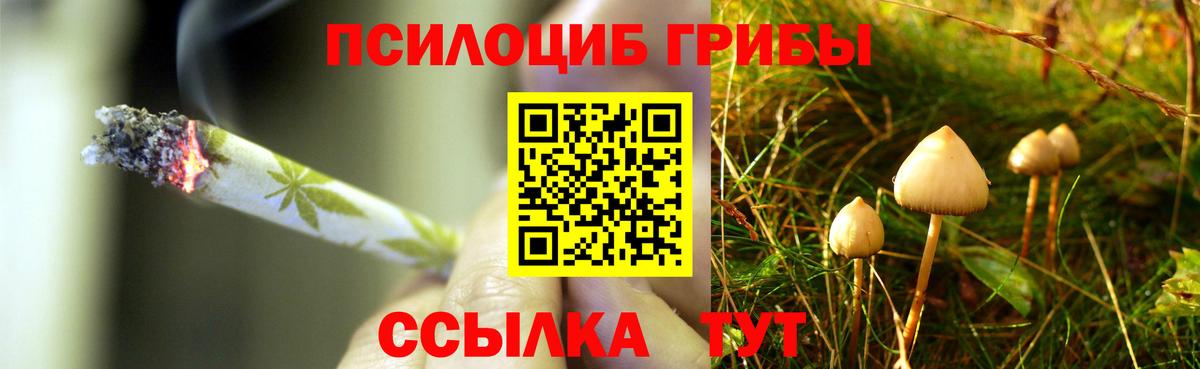 Вязники  Галлюциногенные грибы мухоморы  Вход с VPN 